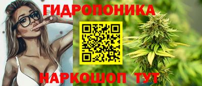 индика Рыбинск