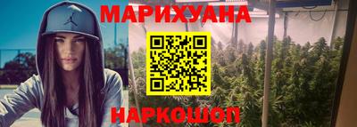 индика Рыбинск