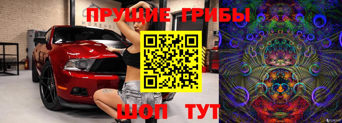 Озёры  Псилоцибиновые грибы Psilocybe  Вход с VPN 